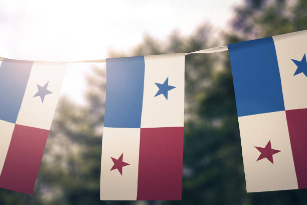 istock Flag of Panama 682710938