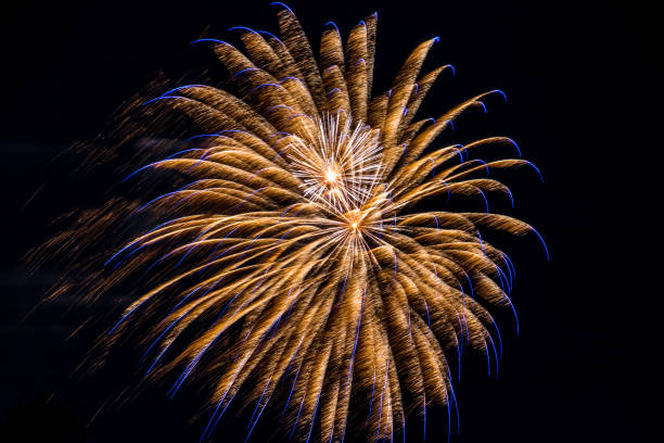 Firework fireworks celebration blue spikes gold white blasts Firework fireworks celebration blue spikes gold white blasts hogmanay photos stock pictures, royalty-free photos & images