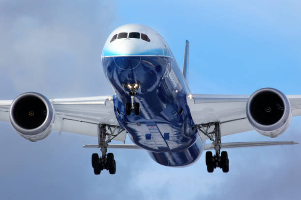世界ツアー中ヴヌーコヴォ国際空港でボーイング 787 ドリームライナー n787bx 着陸。 - boeing ストックフォトと画像