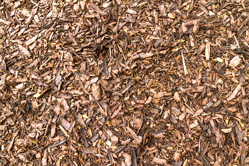 Coarse Dried Pine Bark Nuggets