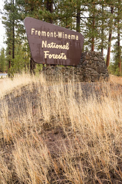 istock Fremont-Winema National Forests Oregon State United States 682749774