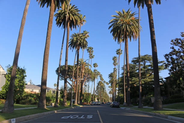 istock Beverly Hills Neighborhood 682752252