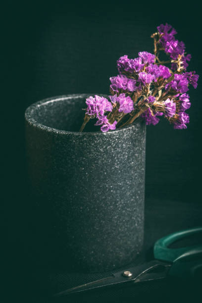 istock Dry flowers in a vase on a dark background. 682753136