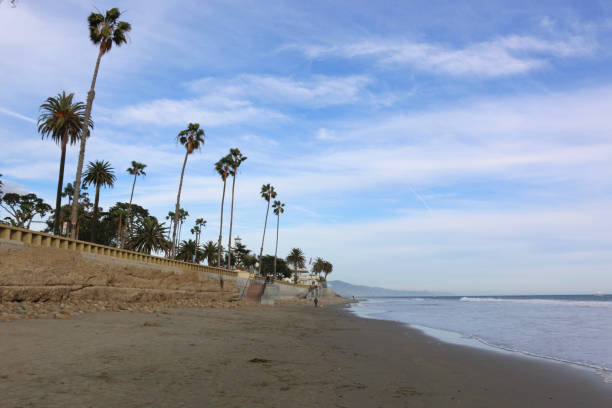 istock Butterfly Beach in Santa Barbara 682756052
