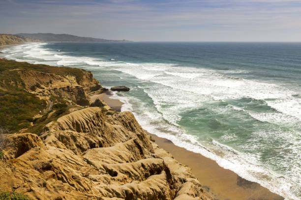 istock Torrey Pines and California Coastline 682762550