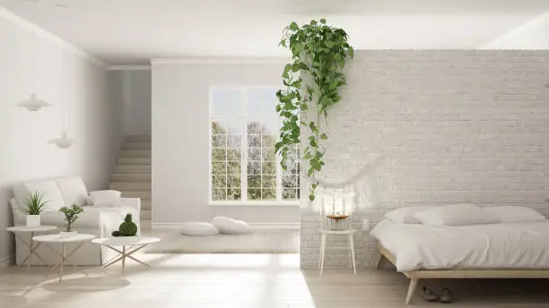 Scandinavian white minimalist living with bedroom, open space, one room apartment, classic interior design