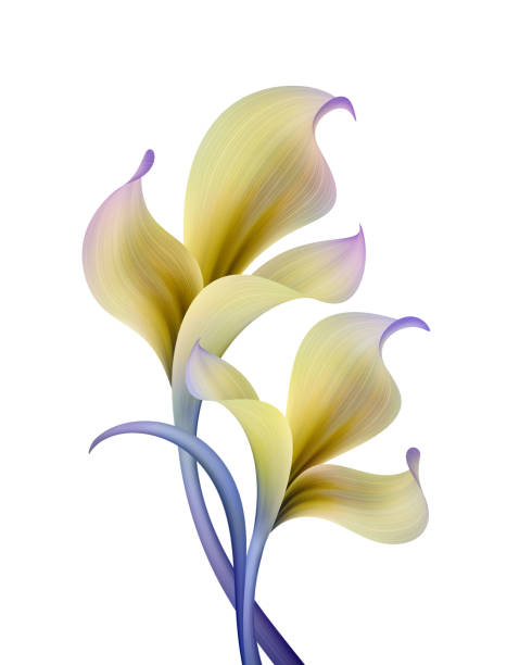 istock abstract botanical illustration, blue yellow flowers isolated on white background 682772950
