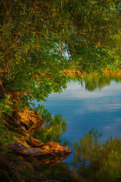 istock Rural sunny landscape with small countryside 682778470