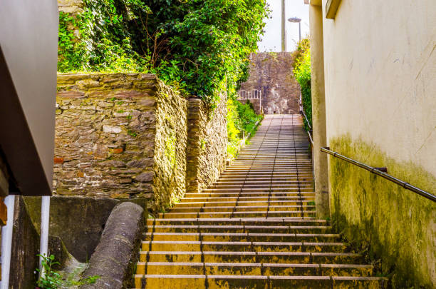 istock Entrance stone stairs up, right balustrade, left green plants 682778680