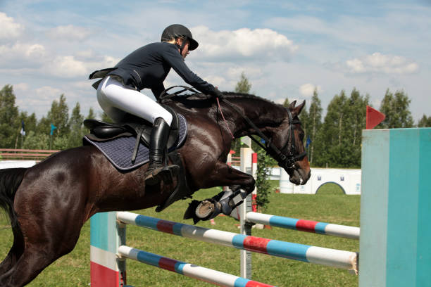 istock Young girl on the horse at jumping training 682783006