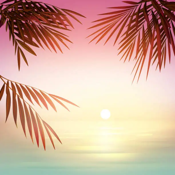 Vector illustration of Pink tropical sunset