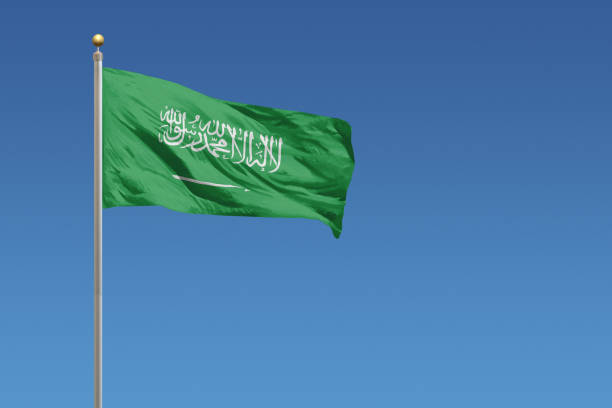 istock Flag of Saudi Arabia 682783694