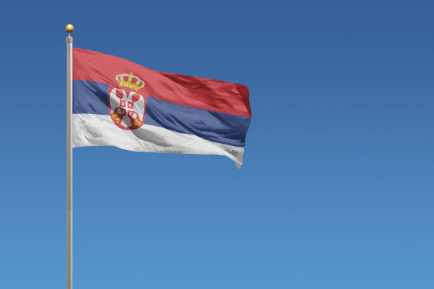 flag of serbia - bandeira da sérvia imagens e fotografias de stock
