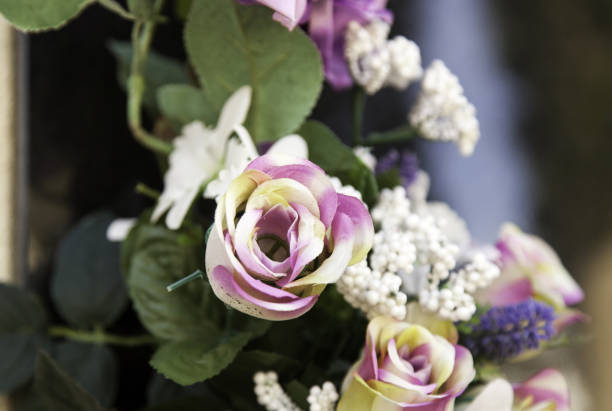 istock Flowers in garden 682788440