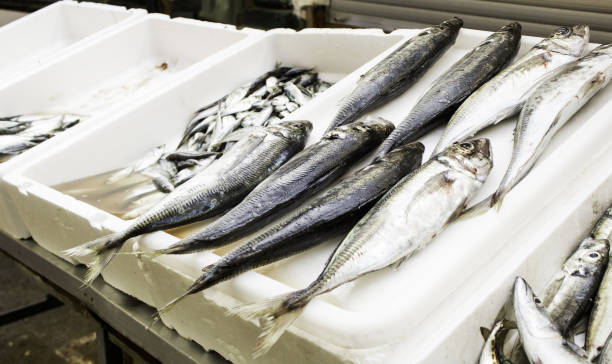 istock Fresh fish in a market 682792370