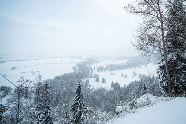 istock Foggy View of Alpine foothills 682804390