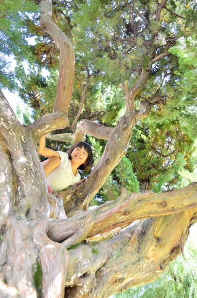 istock Girl enjoying tree climbing 682804408