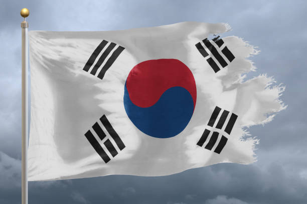 istock Flag of South Korea 682807834