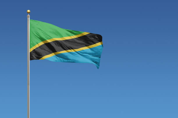 istock Flag of Tanzania 682813212