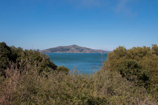 istock SAN FRANCISCO, CA, US - JULY 6TH 2015 - PACIFIC OCEAN, MOUNTAIN AND BUSCH 682824850