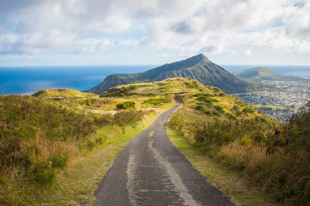 istock OAHU, HAWAII, US - MARCH 2ND - HIKING PATH ON THE MOUNTAIN 682835462