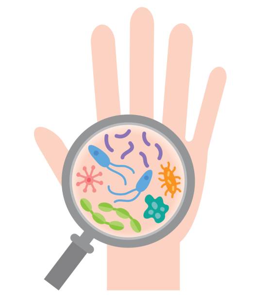 magnifier and bacterial cells on human palm magnifier and bacterial cells on human palm dirty hands stock illustrations