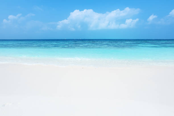 istock Summer white sandy beach and tropical sea background 682855072