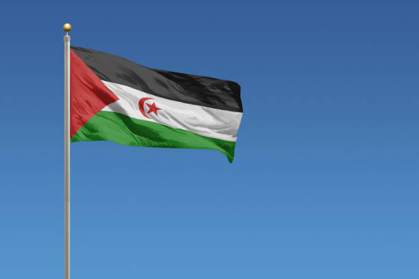 istock National flag of Western Sahara 682865116