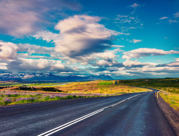 istock Empty asphalt road with colorful cloudy sky. 682866284