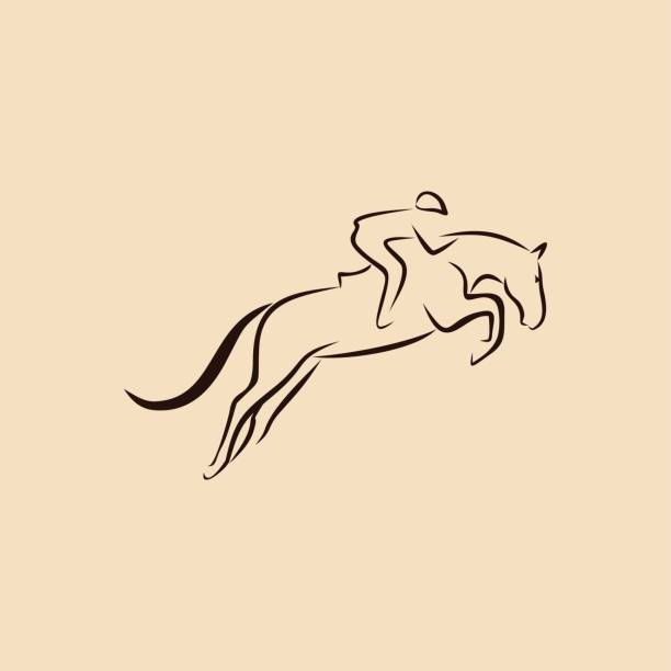 ilustraciones, imágenes clip art, dibujos animados e iconos de stock de saltos de caballo - caballo saltando