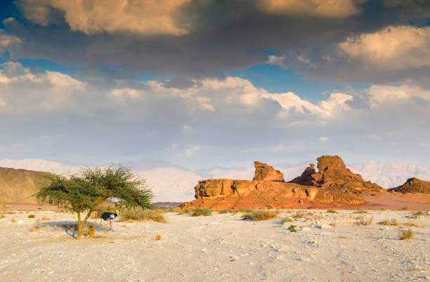 istock Valley of geological nature park Timna 682876500