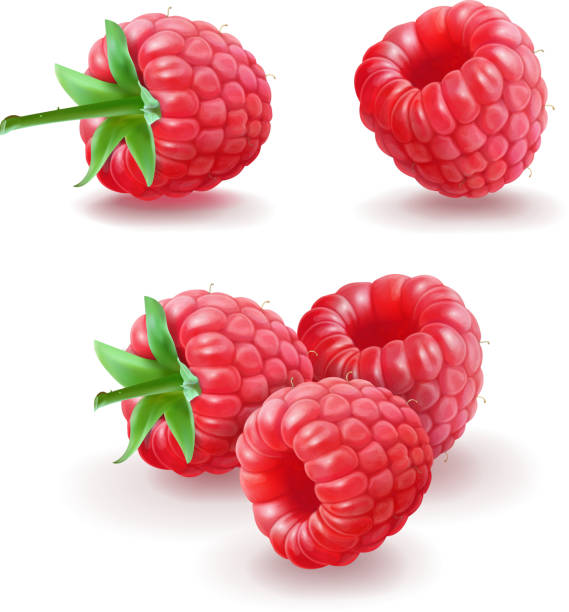 himbeer-vektor-icons set. realistische isolierte darstellung - raspberry stock-grafiken, -clipart, -cartoons und -symbole