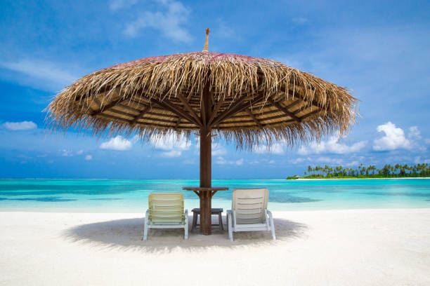 istock tropical beach in Maldives 682881646