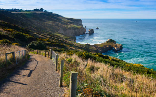 istock New Zealand Landscape 682881678