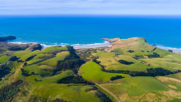 istock New Zealand Landscape 682888266