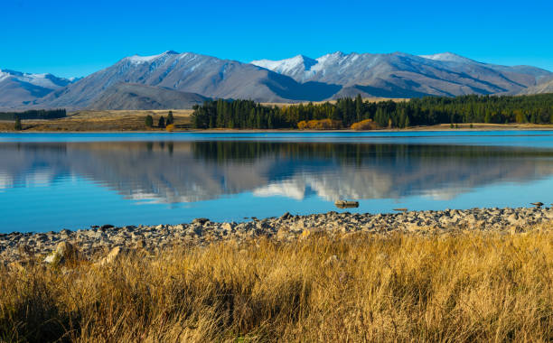 istock New Zealand Landscape 682888710