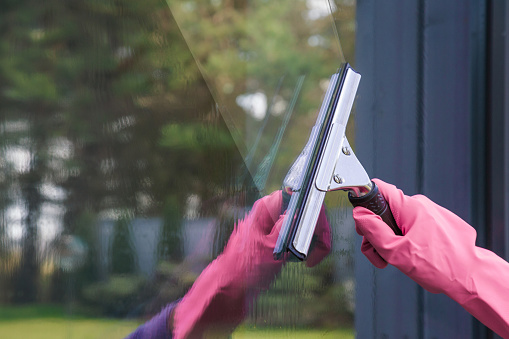 De la mano en guante protector goma rosa lavado y limpieza de ventana con escobilla de goma profesional. Ventanas de inicio de la primavera limpieza en el fondo de árboles. photo