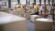 istock LD Warehouse workers scanning and stacking the packages travelling on the conveyor belt 682889488