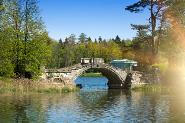 istock The small shabby bridge in park over a pond 682896488