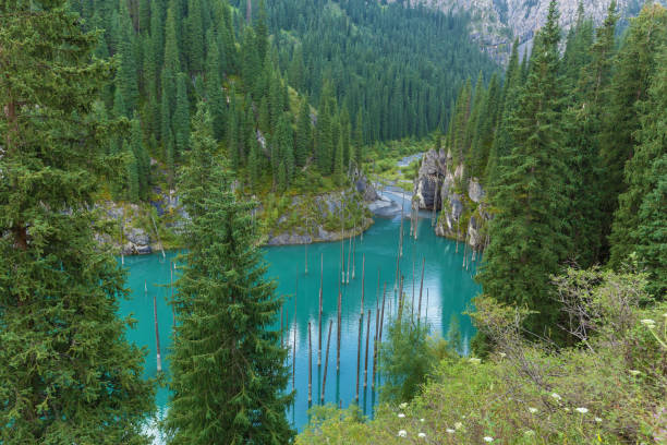 istock wild nature of Kazakhstan 682898086