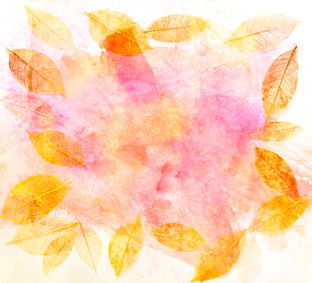 ilustraciones, imágenes clip art, dibujos animados e iconos de stock de marco con esqueleto de hojas en abstracto textura color de rosa, oro entonado - otoño fotos