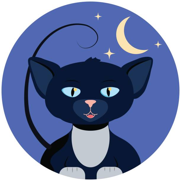хэллоуин вектор иллюстрации с кошкой. белая лапа котенка на круглом синем фоне с луной и звездами. - half moon bay stock illustrations