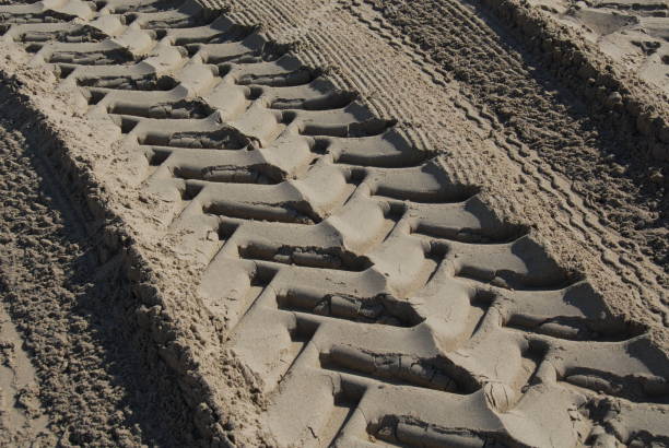 istock Traces in the sand - Mediterranean - Spain 682909514
