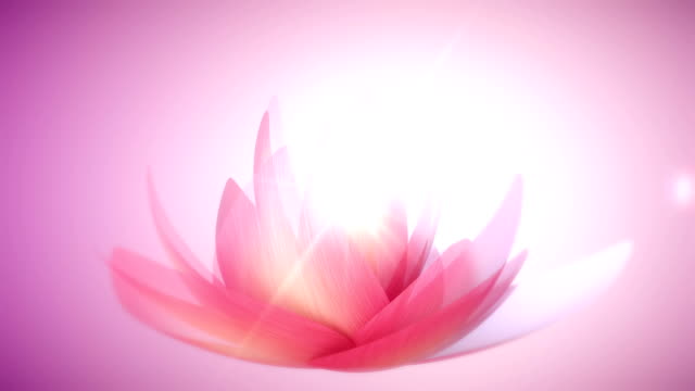 Abstract Lotus Background