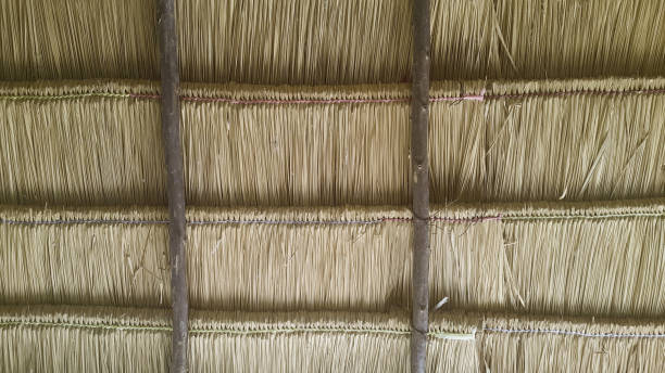istock Vintage texture of dried bamboo roof 682924540