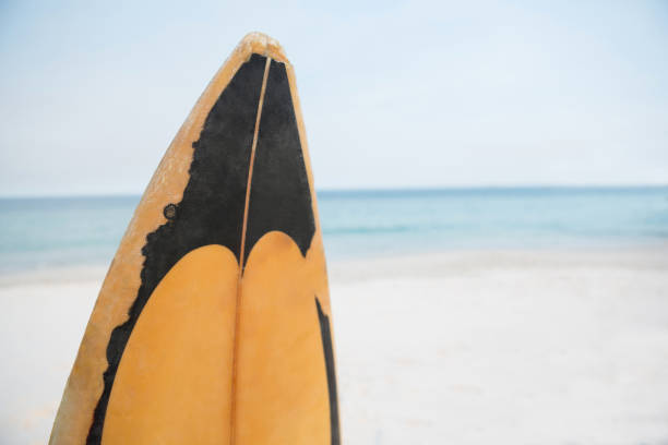istock Wooden surfboard at beach 682933080