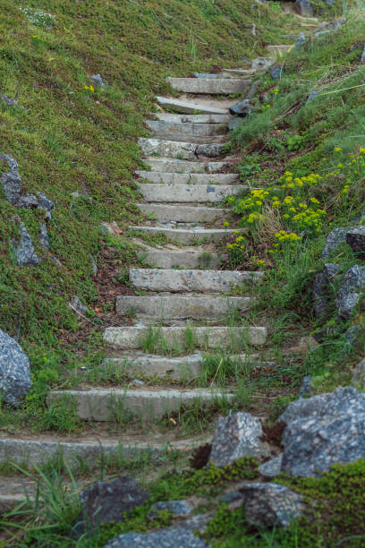 istock The old stone steps on a hill rising on either side grass. Stone stairs up a grass hill 682940206