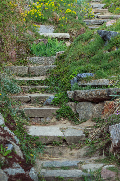 istock The old stone steps on a hill rising on either side grass. Stone stairs up a grass hill 682940214