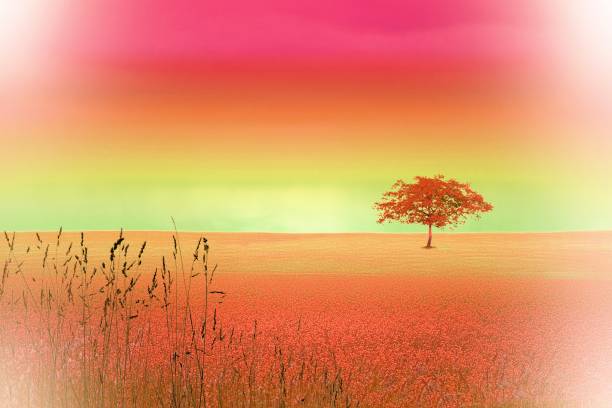 Vintage red surreal landscape with single tree.