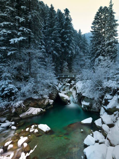 istock Beautiful waterfall in the Dolomites 682947362